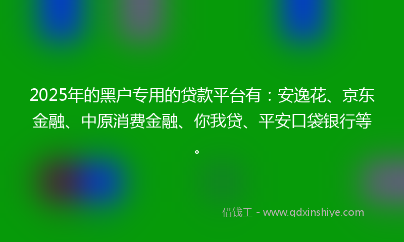 2025年的黑户专用的贷款平台有：安逸花、京东金融、中原消费金融、你我贷、平安口袋银行等。