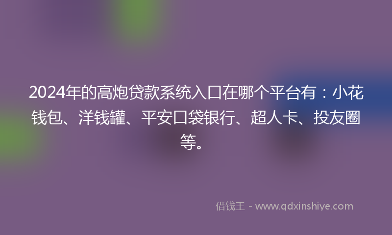 2024年的高炮贷款系统入口在哪个平台有：小花钱包、洋钱罐、平安口袋银行、超人卡、投友圈等。