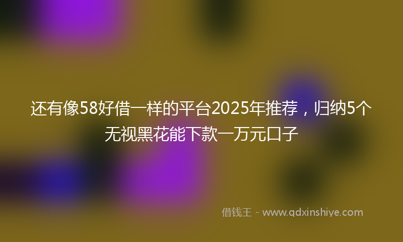 还有像58好借一样的平台2025年推荐，归纳5个无视黑花能下款一万元口子