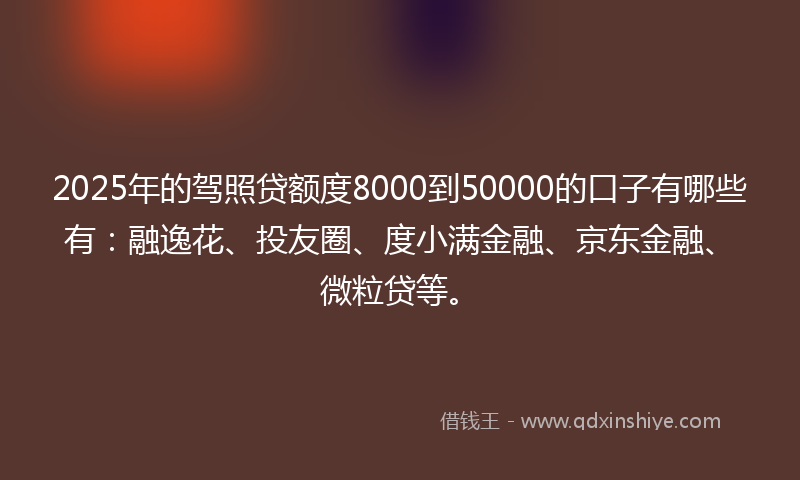 2025年的驾照贷额度8000到50000的口子有哪些有：融逸花、投友圈、度小满金融、京东金融、微粒贷等。