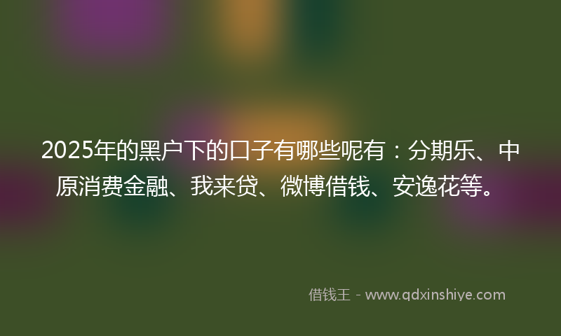 2025年的黑户下的口子有哪些呢有：分期乐、中原消费金融、我来贷、微博借钱、安逸花等。