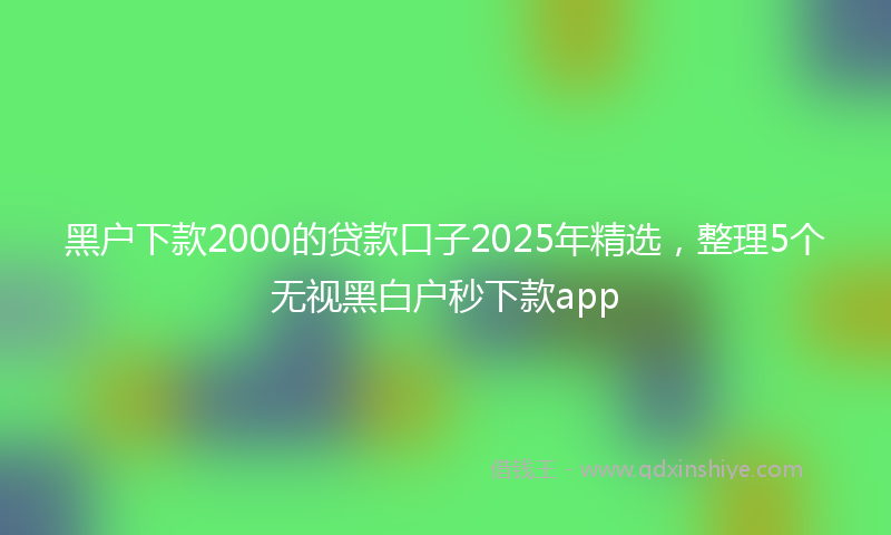 黑户下款2000的贷款口子2025年精选，整理5个无视黑白户秒下款app