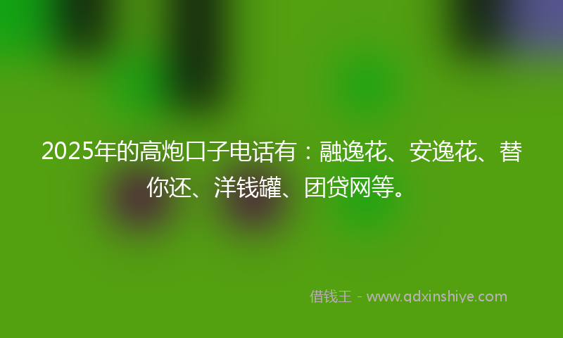 2025年的高炮口子电话有：融逸花、安逸花、替你还、洋钱罐、团贷网等。