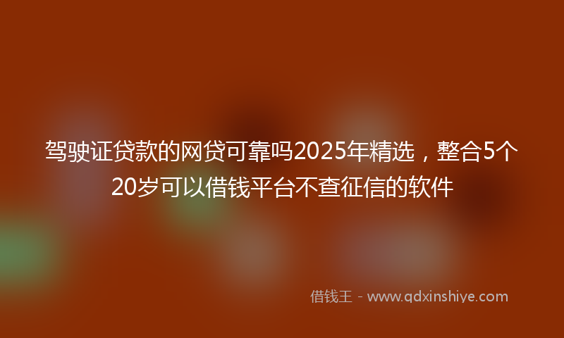 驾驶证贷款的网贷可靠吗2025年精选，整合5个20岁可以借钱平台不查征信的软件