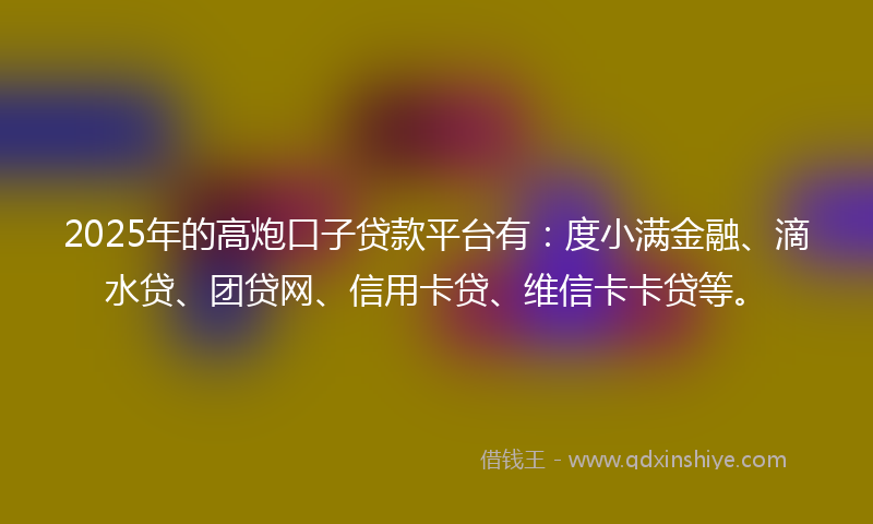 2025年的高炮口子贷款平台有：度小满金融、滴水贷、团贷网、信用卡贷、维信卡卡贷等。