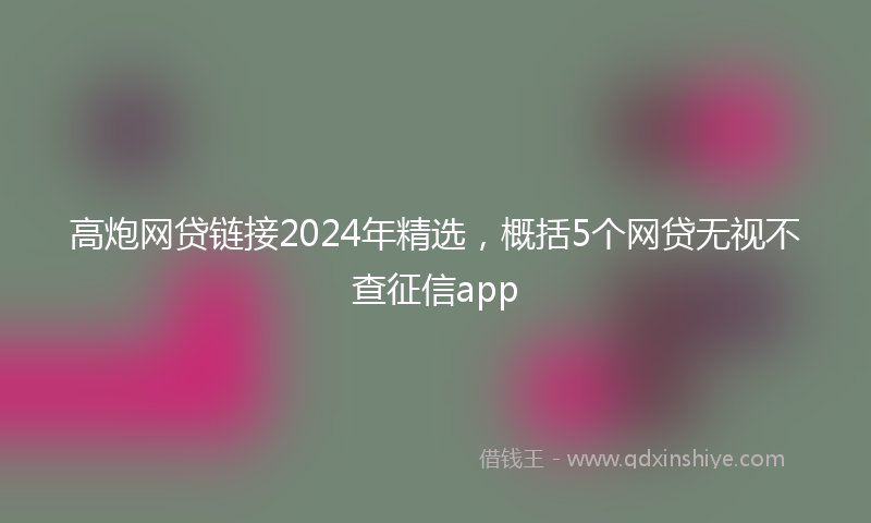 高炮网贷链接2024年精选，概括5个网贷无视不查征信app