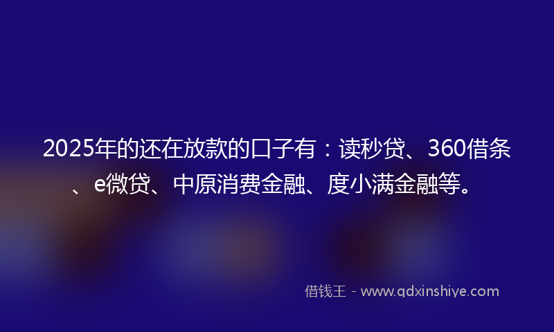 2025年的还在放款的口子有：读秒贷、360借条、e微贷、中原消费金融、度小满金融等。