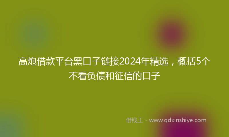 高炮借款平台黑口子链接2024年精选，概括5个不看负债和征信的口子