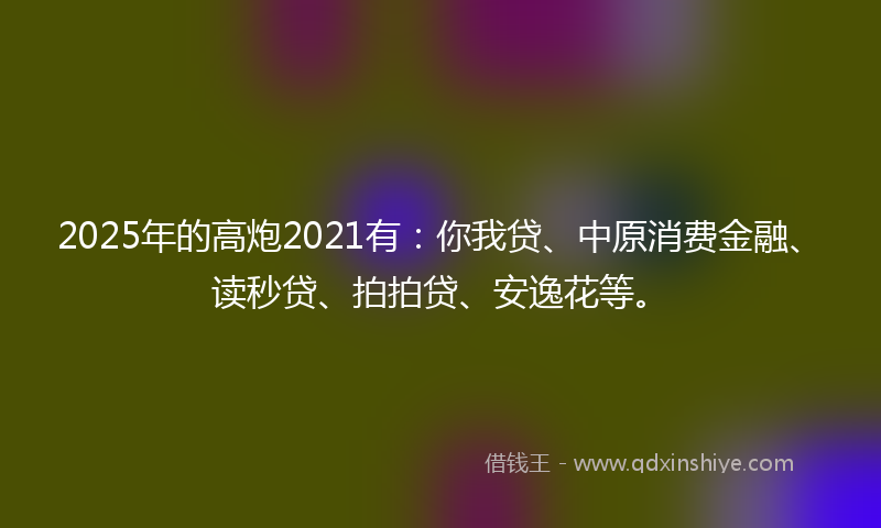 2025年的高炮2021有：你我贷、中原消费金融、读秒贷、拍拍贷、安逸花等。