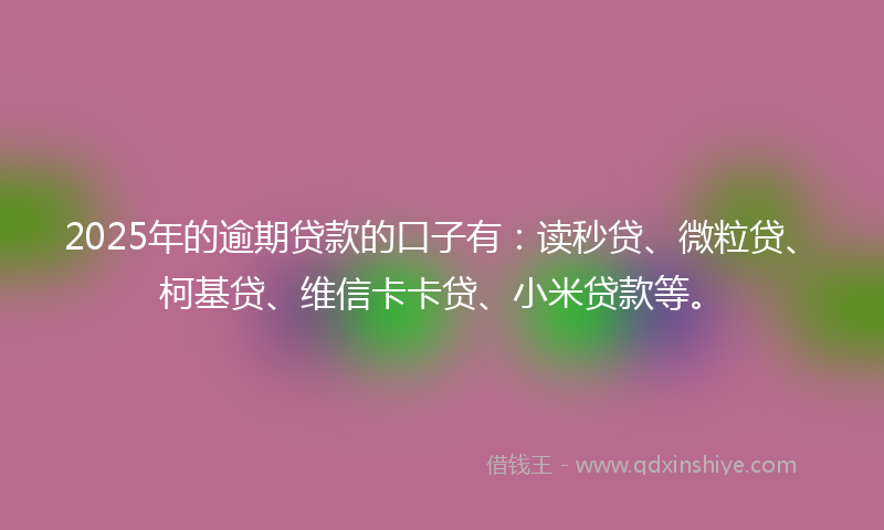 2025年的逾期贷款的口子有：读秒贷、微粒贷、柯基贷、维信卡卡贷、小米贷款等。