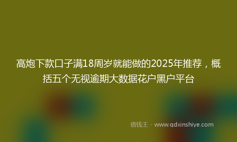 高炮下款口子满18周岁就能做的2025年推荐，概括五个无视逾期大数据花户黑户平台