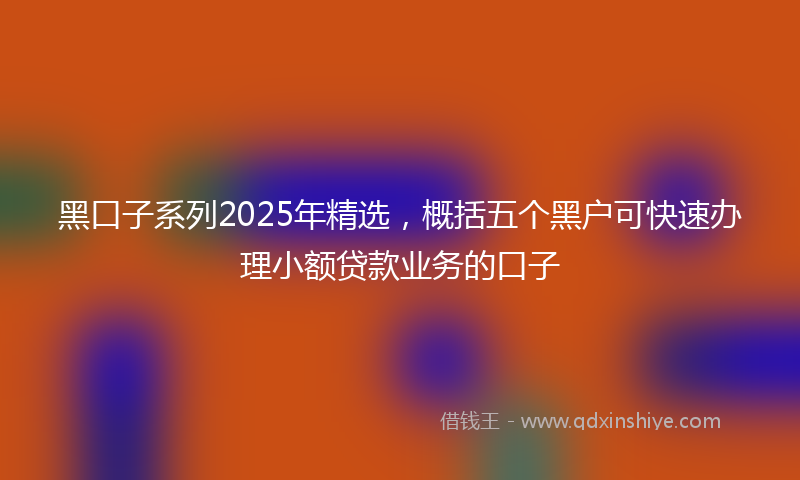 黑口子系列2025年精选，概括五个黑户可快速办理小额贷款业务的口子