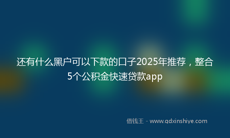 还有什么黑户可以下款的口子2025年推荐，整合5个公积金快速贷款app