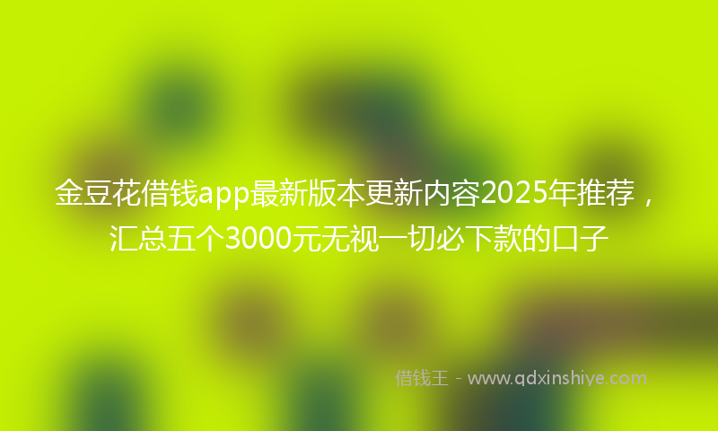 金豆花借钱app最新版本更新内容2025年推荐，汇总五个3000元无视一切必下款的口子