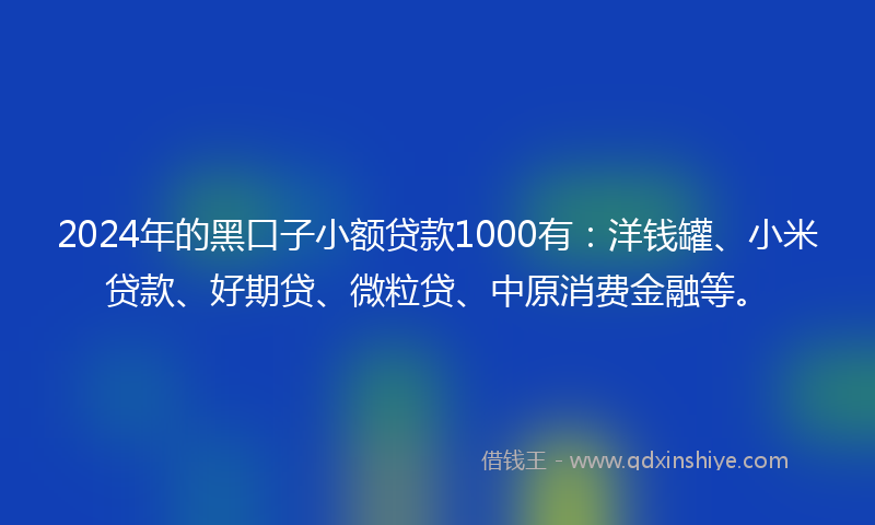 2024年的黑口子小额贷款1000有：洋钱罐、小米贷款、好期贷、微粒贷、中原消费金融等。