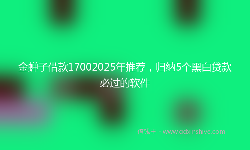 金蝉子借款17002025年推荐，归纳5个黑白贷款必过的软件