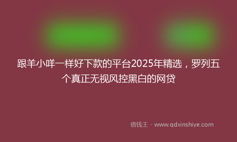 跟羊小咩一样好下款的平台2025年精选，罗列五个真正无视风控黑白的网贷