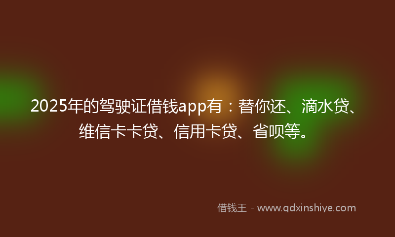 2025年的驾驶证借钱app有：替你还、滴水贷、维信卡卡贷、信用卡贷、省呗等。
