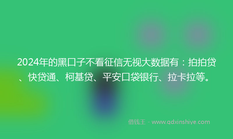 2024年的黑口子不看征信无视大数据有：拍拍贷、快贷通、柯基贷、平安口袋银行、拉卡拉等。