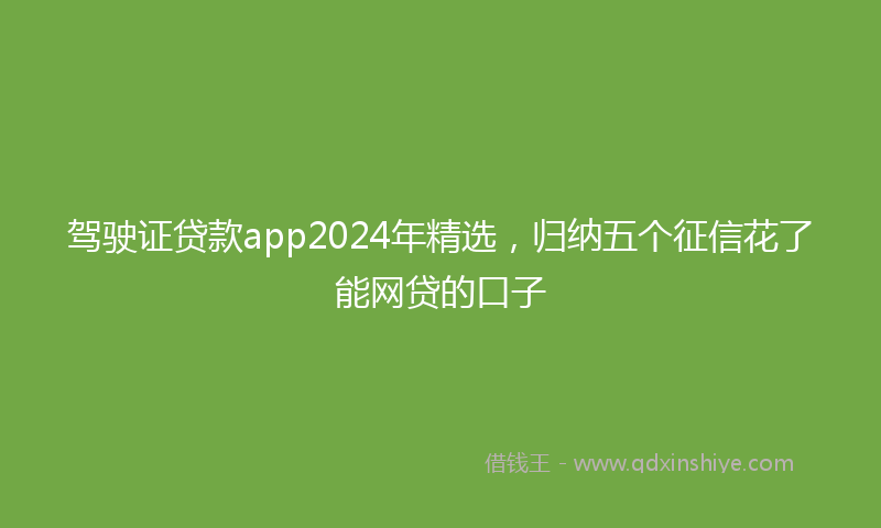 驾驶证贷款app2024年精选，归纳五个征信花了能网贷的口子