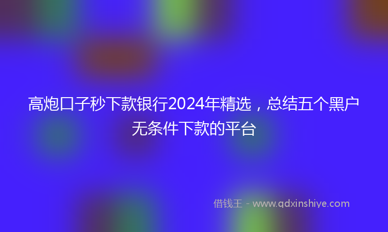 高炮口子秒下款银行2024年精选，总结五个黑户无条件下款的平台
