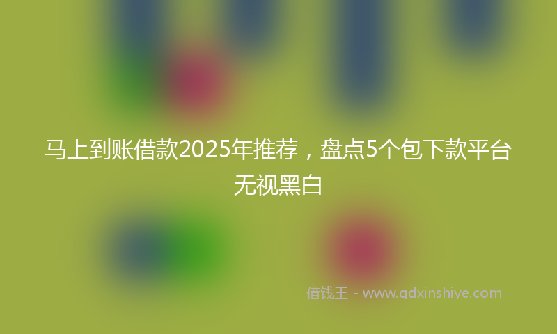 马上到账借款2025年推荐，盘点5个包下款平台无视黑白