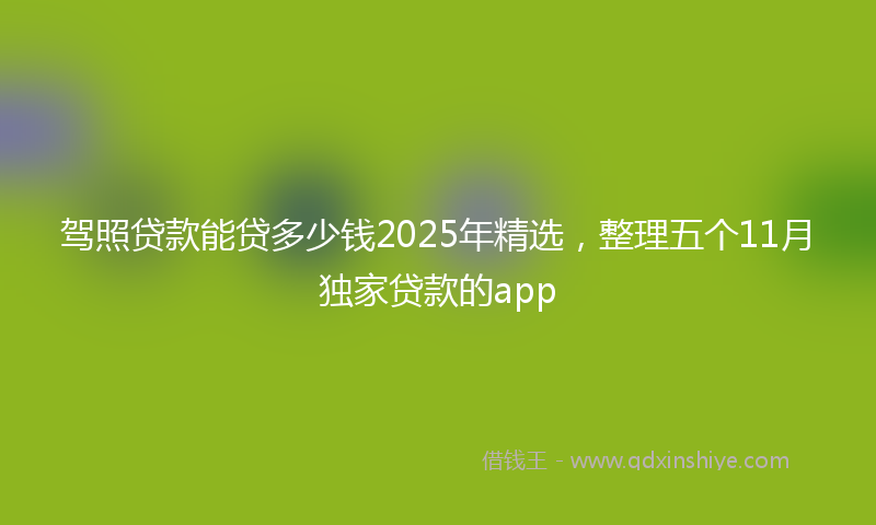 驾照贷款能贷多少钱2025年精选，整理五个11月独家贷款的app