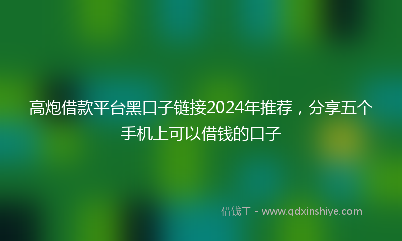 高炮借款平台黑口子链接2024年推荐，分享五个手机上可以借钱的口子