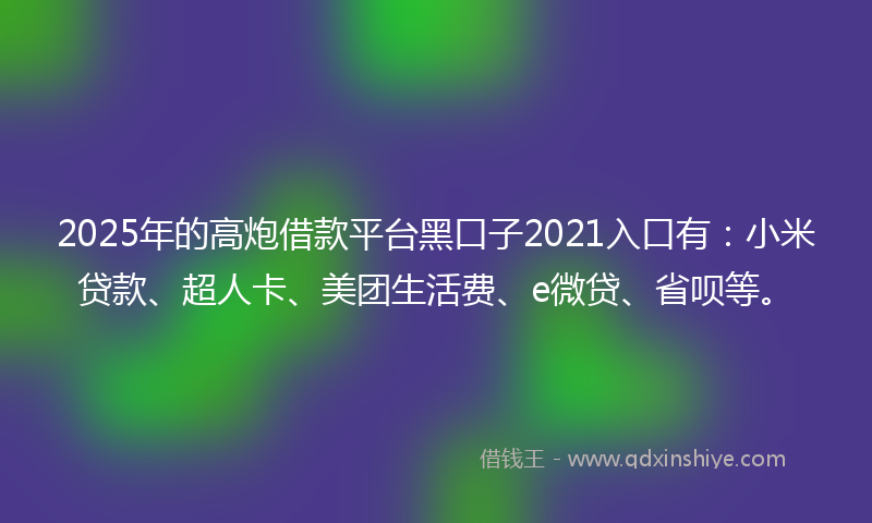 2025年的高炮借款平台黑口子2021入口有：小米贷款、超人卡、美团生活费、e微贷、省呗等。