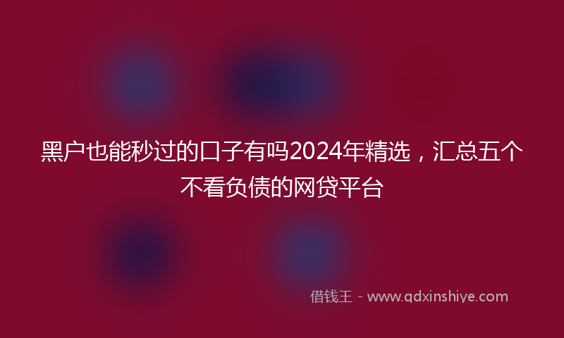 黑户也能秒过的口子有吗2024年精选，汇总五个不看负债的网贷平台