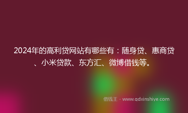 2024年的高利贷网站有哪些有：随身贷、惠商贷、小米贷款、东方汇、微博借钱等。