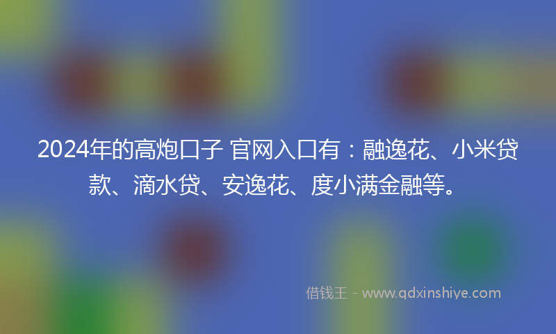 2024年的高炮口子 官网入口有：融逸花、小米贷款、滴水贷、安逸花、度小满金融等。