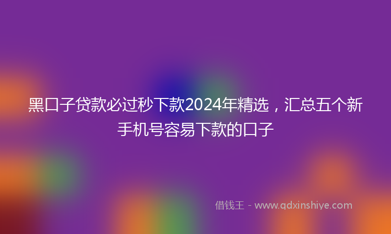 黑口子贷款必过秒下款2024年精选，汇总五个新手机号容易下款的口子