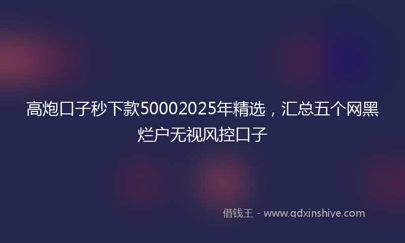高炮口子秒下款50002025年精选，汇总五个网黑烂户无视风控口子