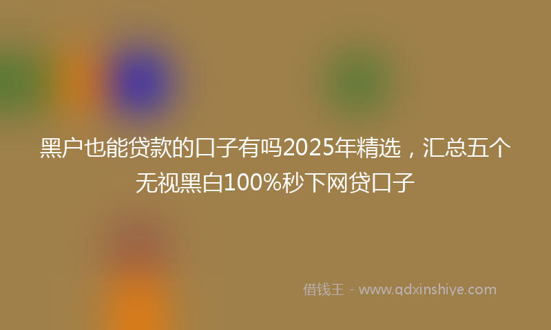 黑户也能贷款的口子有吗2025年精选，汇总五个无视黑白100%秒下网贷口子