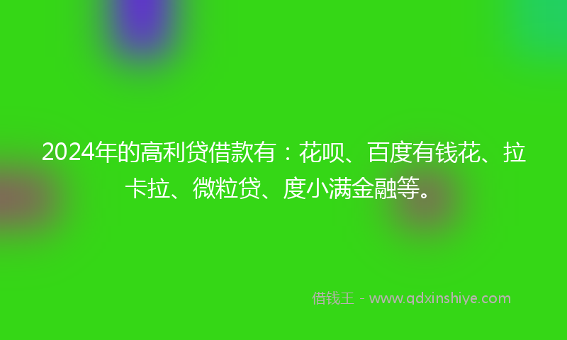 2024年的高利贷借款有：花呗、百度有钱花、拉卡拉、微粒贷、度小满金融等。