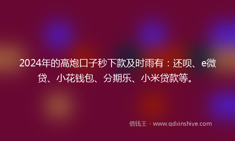 2024年的高炮口子秒下款及时雨有：还呗、e微贷、小花钱包、分期乐、小米贷款等。