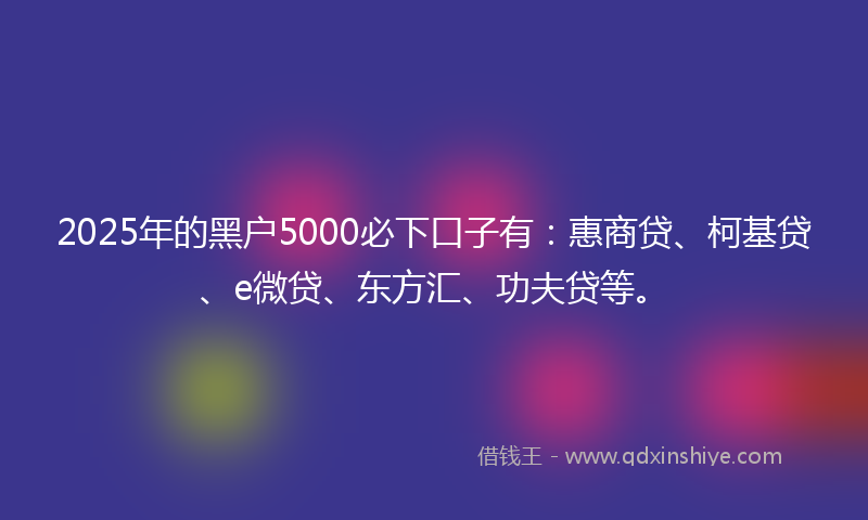2025年的黑户5000必下口子有：惠商贷、柯基贷、e微贷、东方汇、功夫贷等。