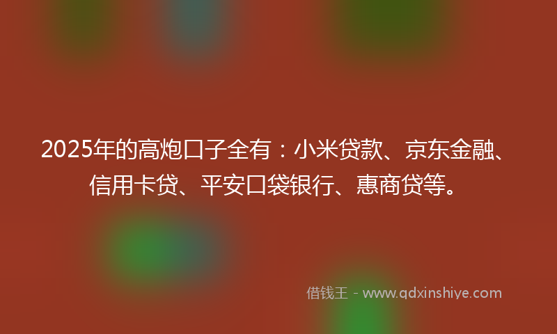 2025年的高炮口子全有：小米贷款、京东金融、信用卡贷、平安口袋银行、惠商贷等。