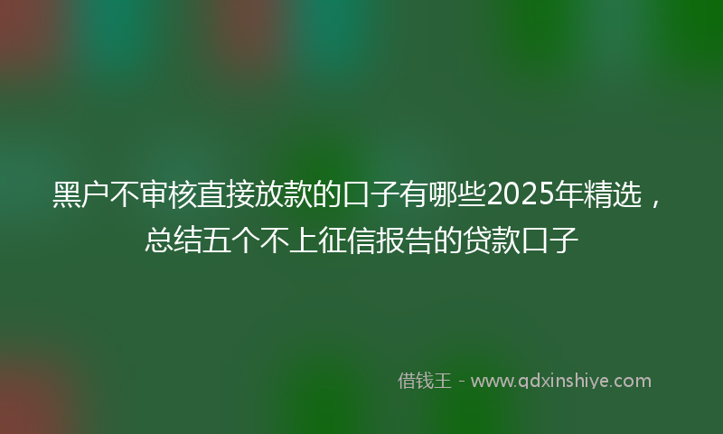 黑户不审核直接放款的口子有哪些2025年精选，总结五个不上征信报告的贷款口子