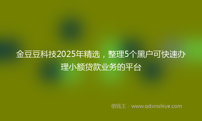 金豆豆科技2025年精选，整理5个黑户可快速办理小额贷款业务的平台