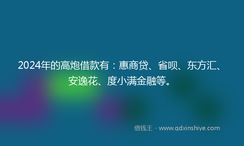 2024年的高炮借款有：惠商贷、省呗、东方汇、安逸花、度小满金融等。