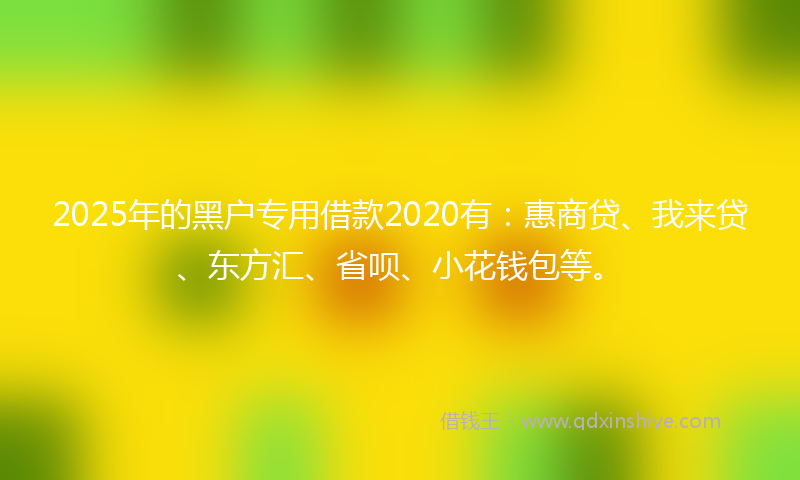 2025年的黑户专用借款2020有：惠商贷、我来贷、东方汇、省呗、小花钱包等。