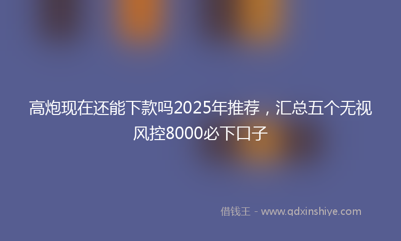 高炮现在还能下款吗2025年推荐，汇总五个无视风控8000必下口子