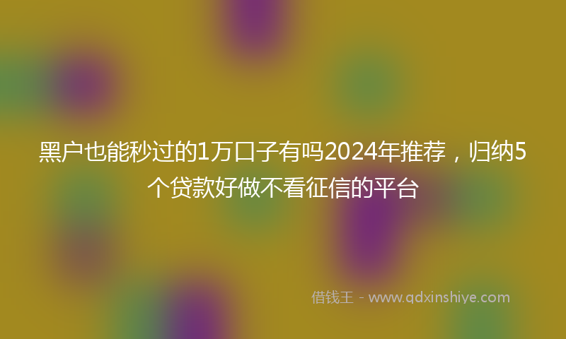 黑户也能秒过的1万口子有吗2024年推荐，归纳5个贷款好做不看征信的平台
