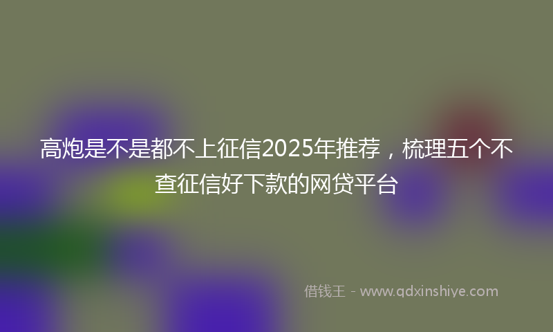 高炮是不是都不上征信2025年推荐，梳理五个不查征信好下款的网贷平台