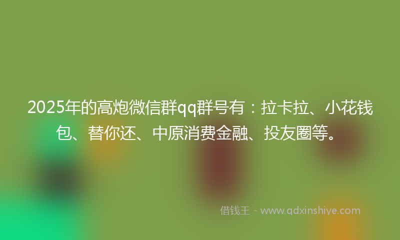 2025年的高炮微信群qq群号有：拉卡拉、小花钱包、替你还、中原消费金融、投友圈等。