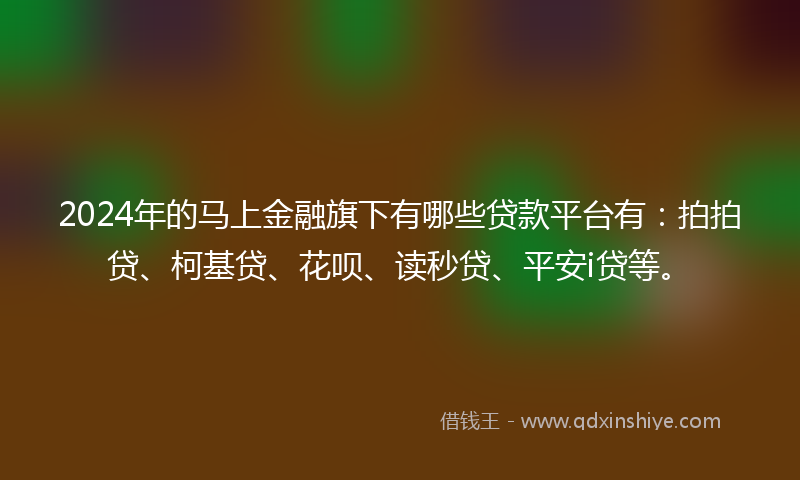 2024年的马上金融旗下有哪些贷款平台有：拍拍贷、柯基贷、花呗、读秒贷、平安i贷等。