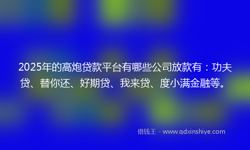 2025年的高炮贷款平台有哪些公司放款有：功夫贷、替你还、好期贷、我来贷、度小满金融等。
