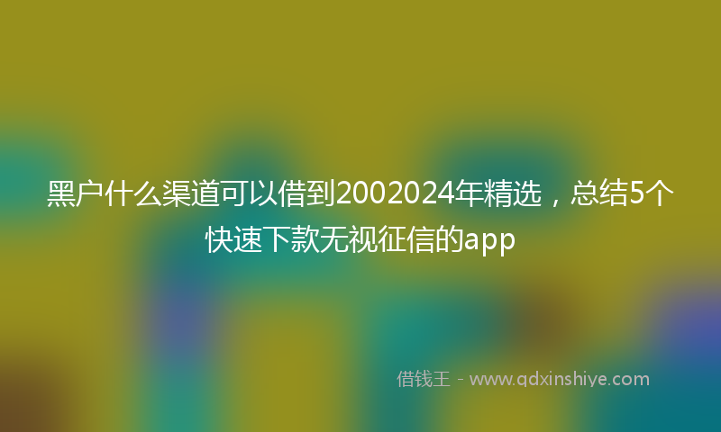 黑户什么渠道可以借到2002024年精选，总结5个快速下款无视征信的app